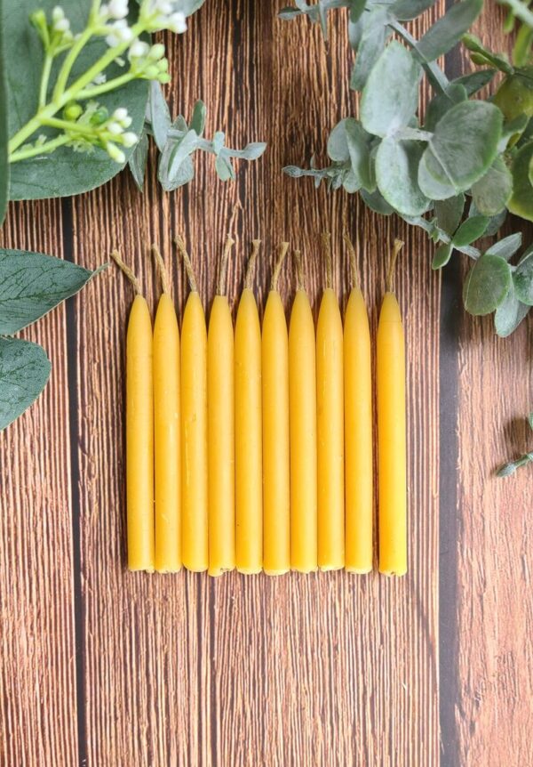 Birthday Cake Beeswax Candles (Pack of 10)