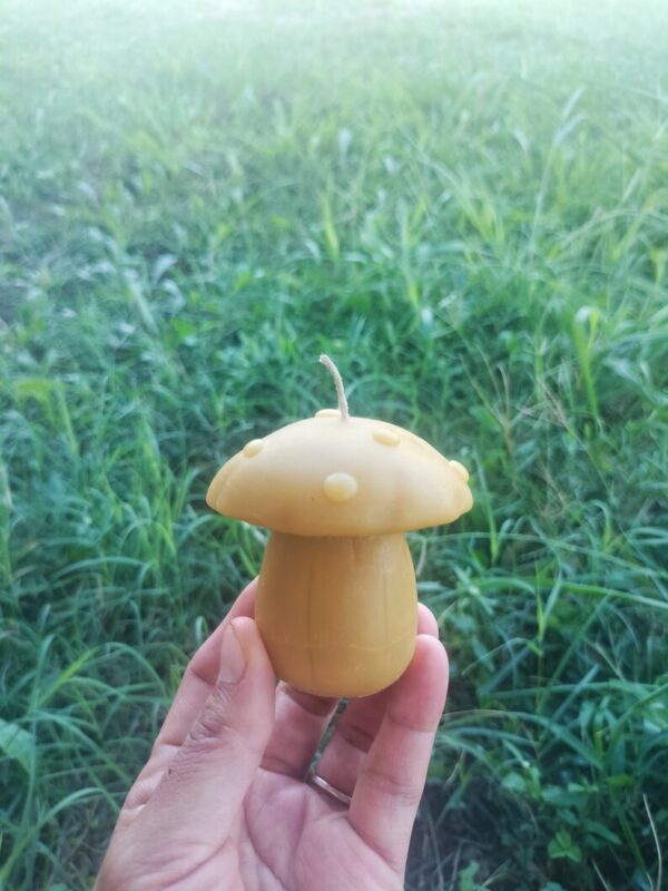 Forest Fungi Beeswax Candle