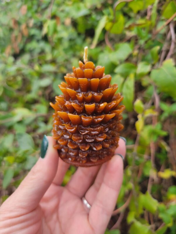 Forest Fresh: Mountain Pinecone Beeswax Candle