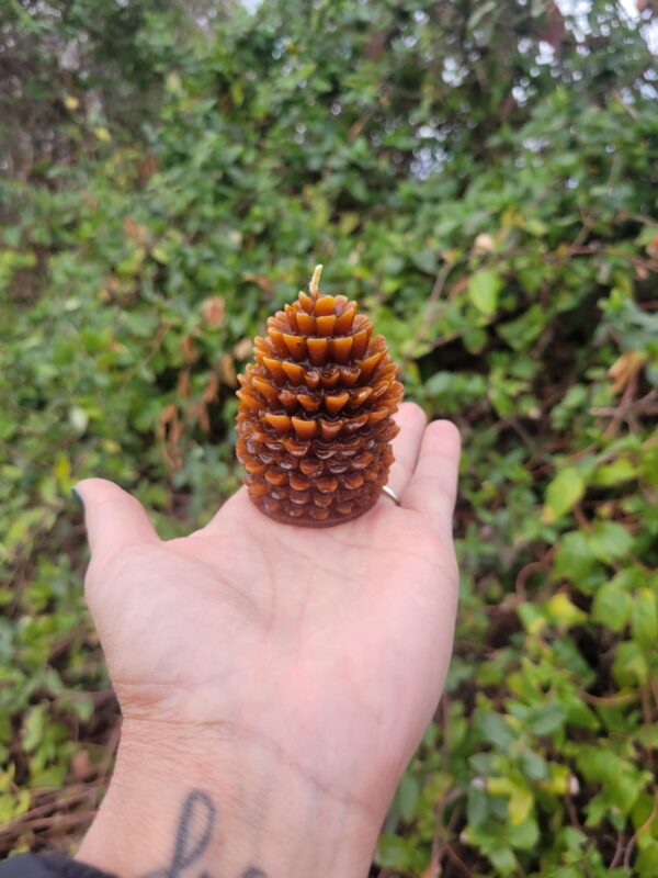 Forest Fresh: Mountain Pinecone Beeswax Candle - Image 3