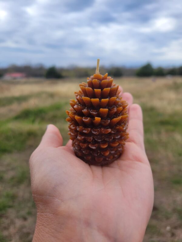 Forest Fresh: Mountain Pinecone Beeswax Candle - Image 4