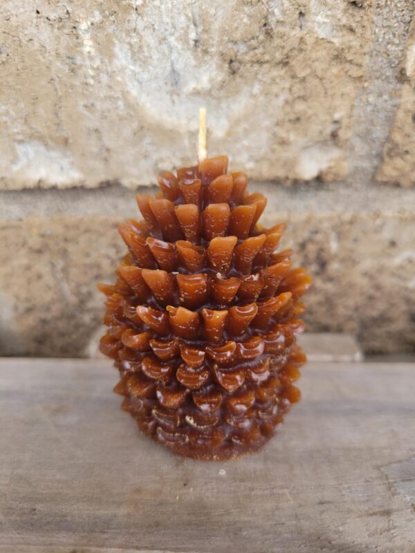 Forest Fresh: Mountain Pinecone Beeswax Candle - Image 5