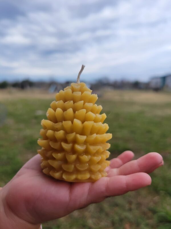 Pure Forest Essence: Natural Pinecone Beeswax Candle - Image 3