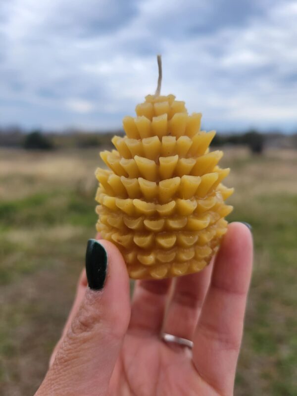 Pure Forest Essence: Natural Pinecone Beeswax Candle