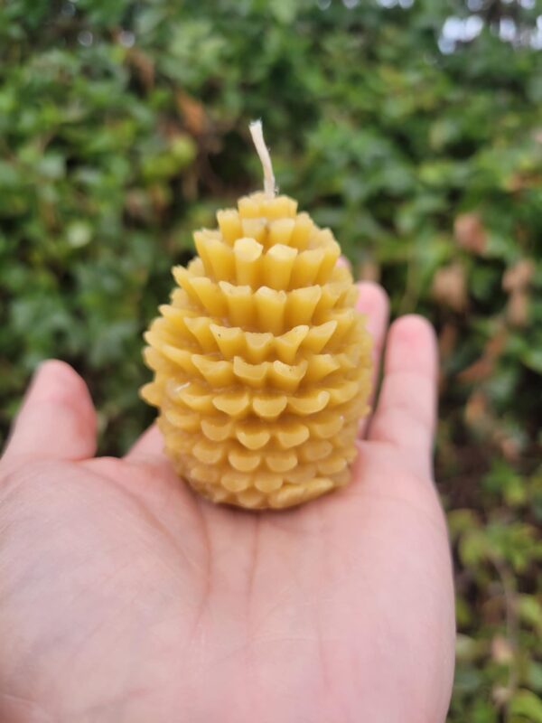 Pure Forest Essence: Natural Pinecone Beeswax Candle - Image 5